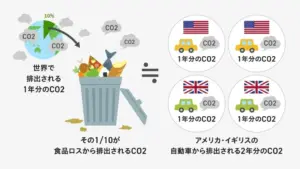 アメリカの食品ロス対策と環境への影響



