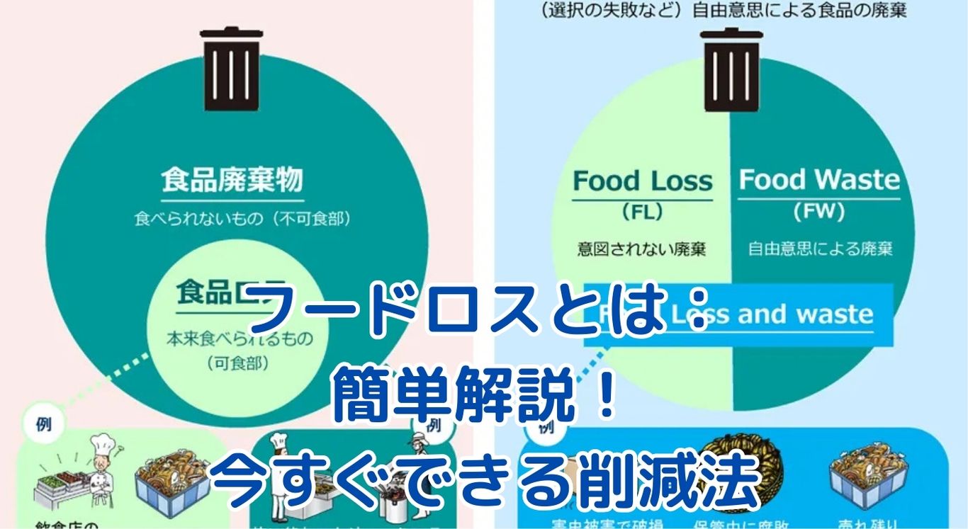 フードロスとは何か？意味と定義を簡単に解説！毎日のおにぎり1個が地球を救う？アイキャッチ