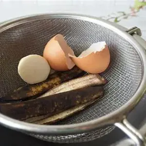 生ごみを乾燥させるメリットと実践方法




