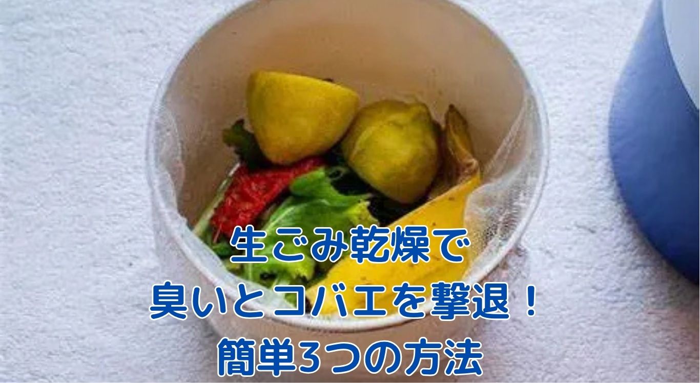 生ごみの乾燥方法で臭いとコバエを撃退！簡単テクニックアイキャッチ